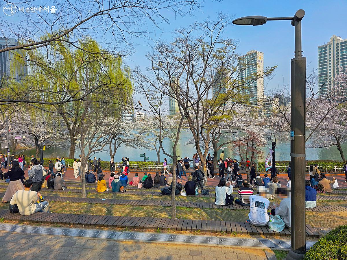 송파구 잠실 석촌호수벚꽃축제 기본일정과 프로그램 소개