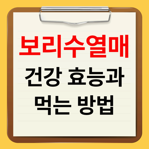 보리수열매 효능