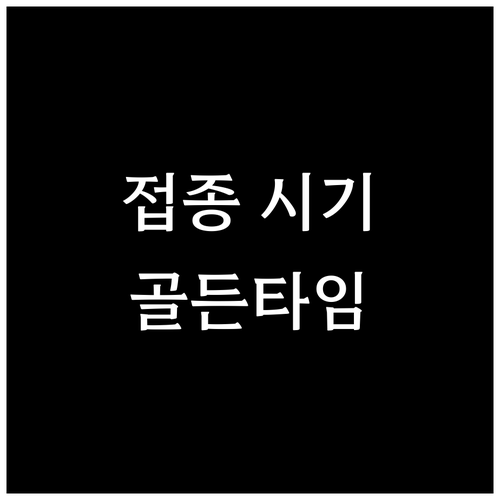 B형 독감 백신 효과 지속기간과 최적..