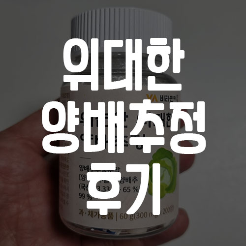 위편한 위대한 양배추정 후기