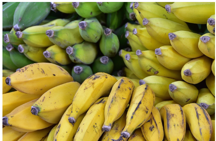 온라인상품권 환급행사