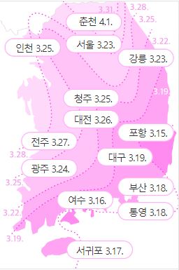 2023년 봄꽃 개화시기 진달래 개나리 벚꽃 축제
