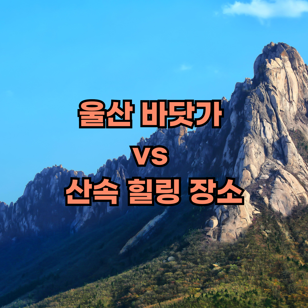 울산 바닷가, 산속 명소