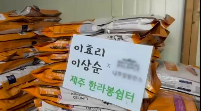 이효리이상순