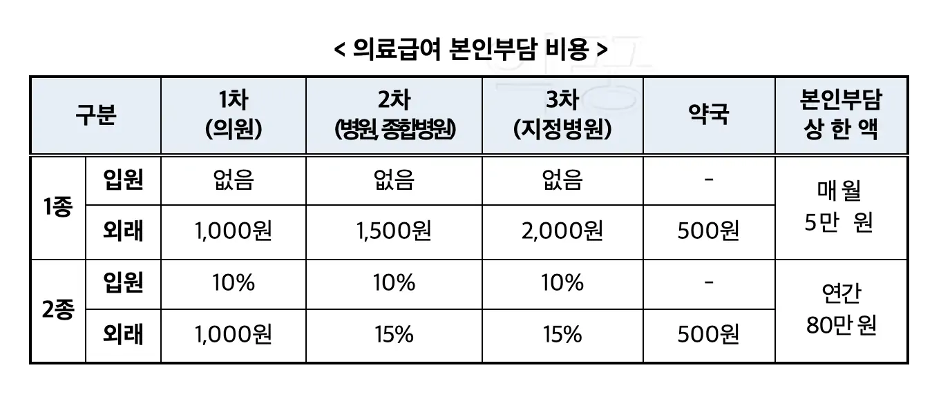 의료급여 본인부담금 관련 표 사진