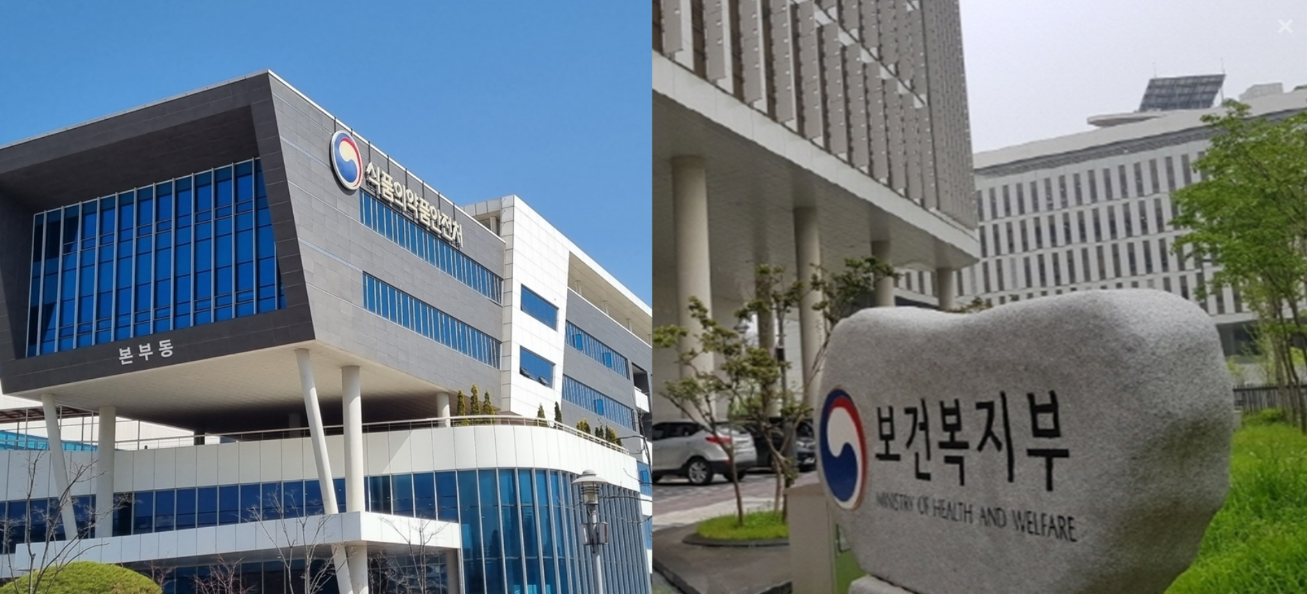 보건복지부 본부