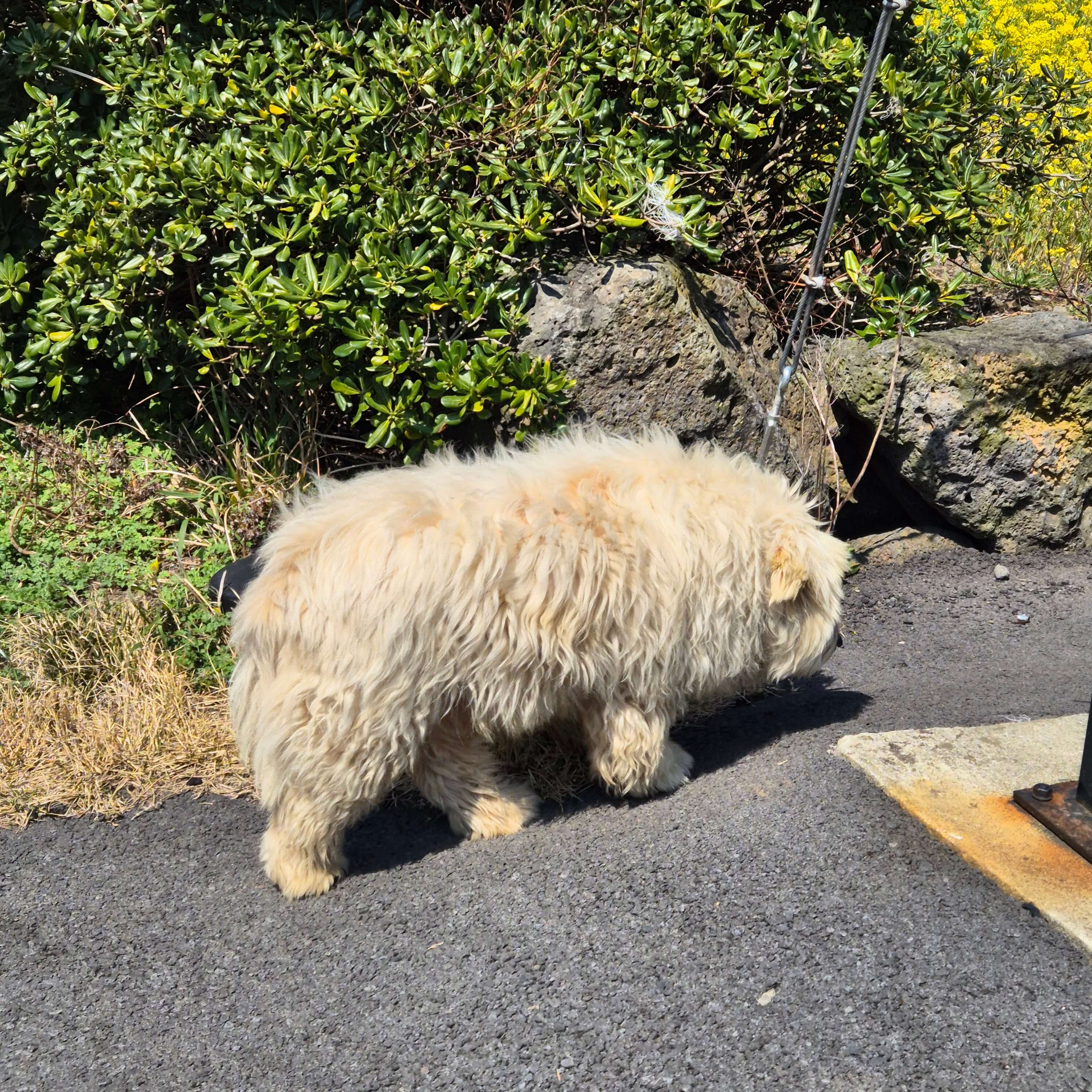 LG전자 에어컨 사전점검 신청&amp;#44; LG에어컨 점검 예약&amp;#44; LG전자서비스 에어컨&amp;#44; 에어컨 사전점검 기간&amp;#44; 여름 에어컨 점검&amp;#44; 에어컨 고장 예방