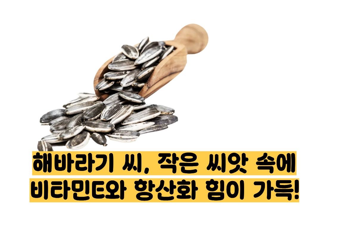 해바라기 씨 효능