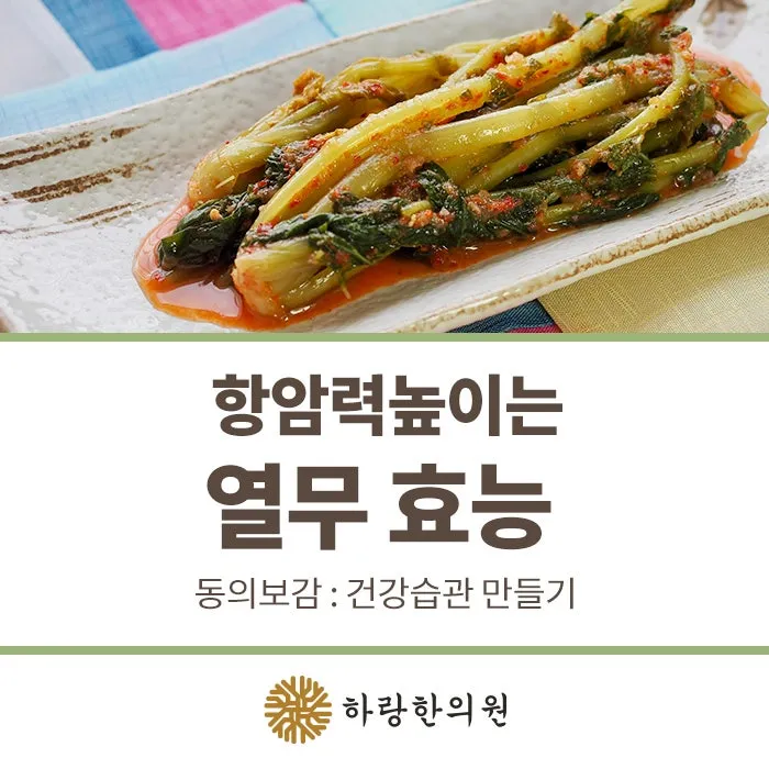 열무 효능 비타민 클로로필 식이섬유 건강 효과 정리_8
