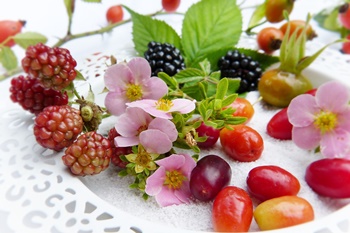 [ 텃밭 가꾸기 2 ] 2~3월 텃밭에 심기 좋은 작물