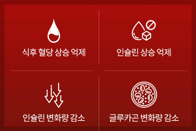 솔티스 혈당프로텍션 프로 경험담, 후기, 효과 제대로 알기