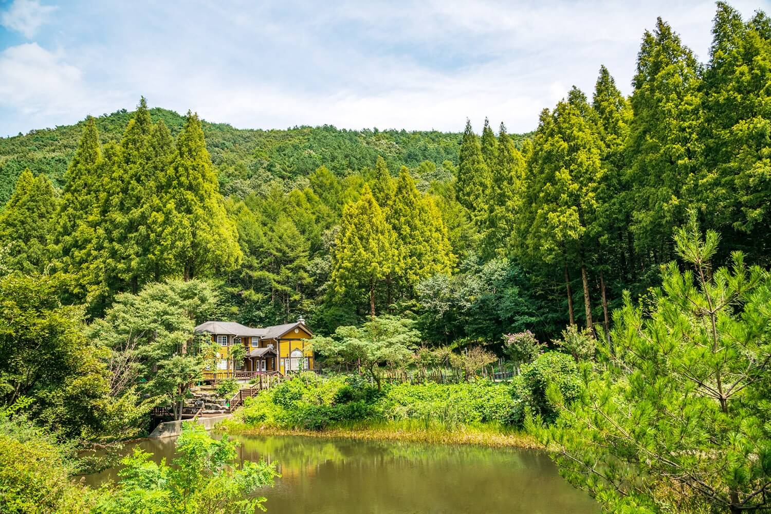논산 온빛자연휴양림 단풍 명소 예약