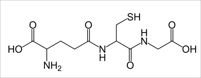 글루타치온 화학식