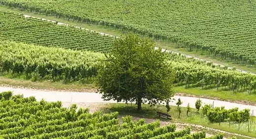 산업안전기사 시험 일정과 합격률