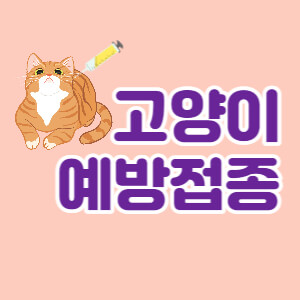 고양이-예방접종-시기-종류-비용-대표섬네일
