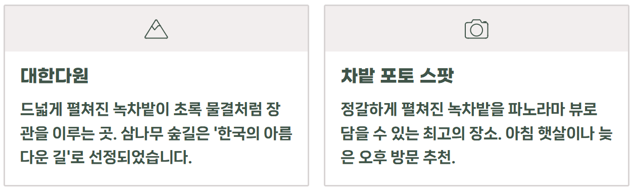 보성 녹차밭 대한다원 여행