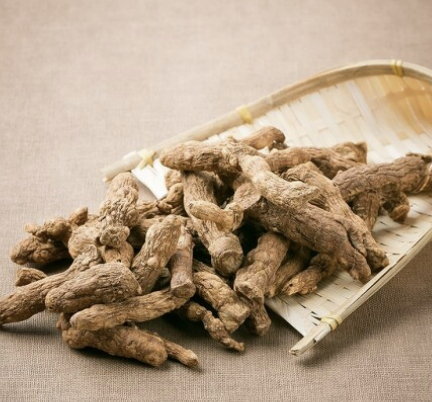 둥글레차 효과 물대신 효능과 부작용 만드는방법 총정리