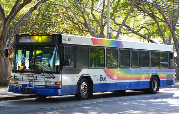 하와이-오아후-더-버스-사진