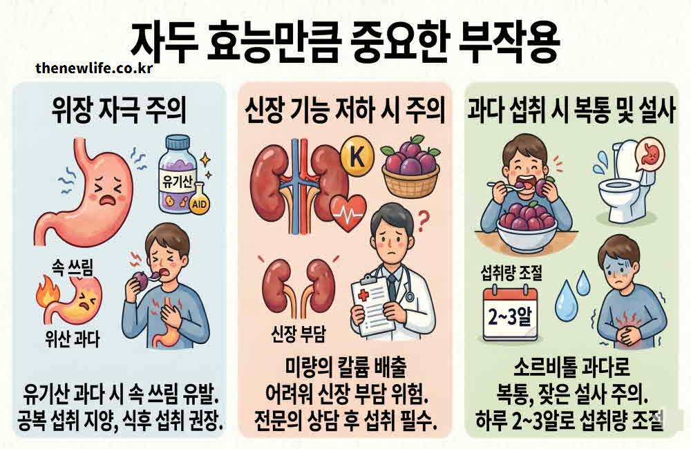 자두 효능 부작용
