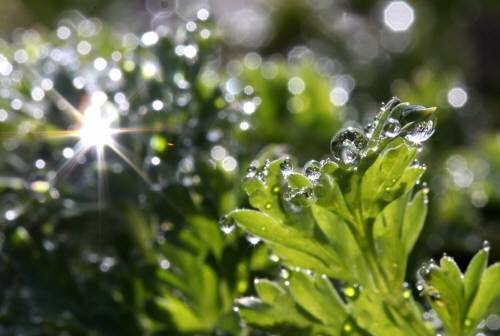 계절의 변화를 세분화한 24 절기 중 '경칩' 이해하기