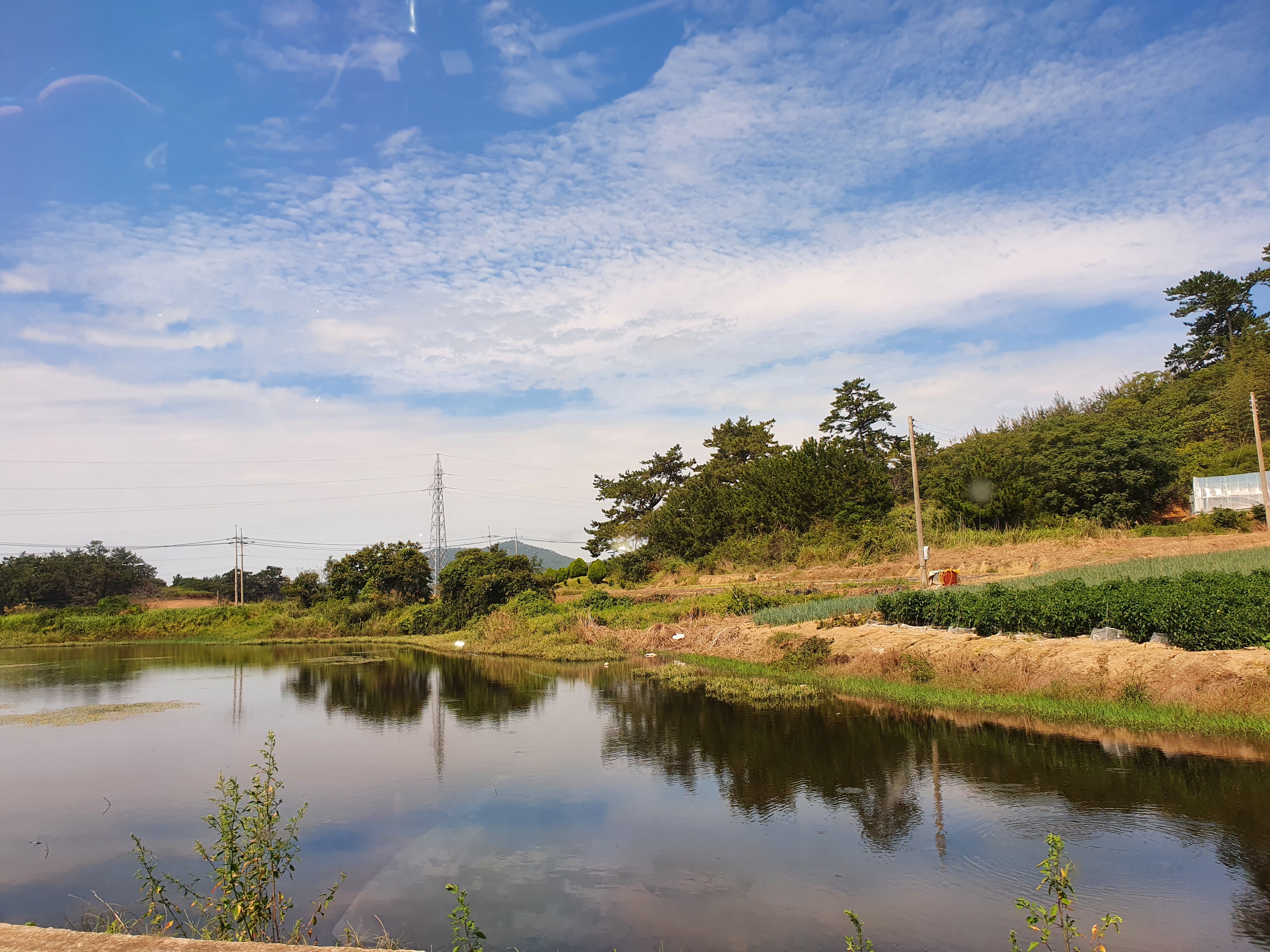 4. 퍼플섬가는길