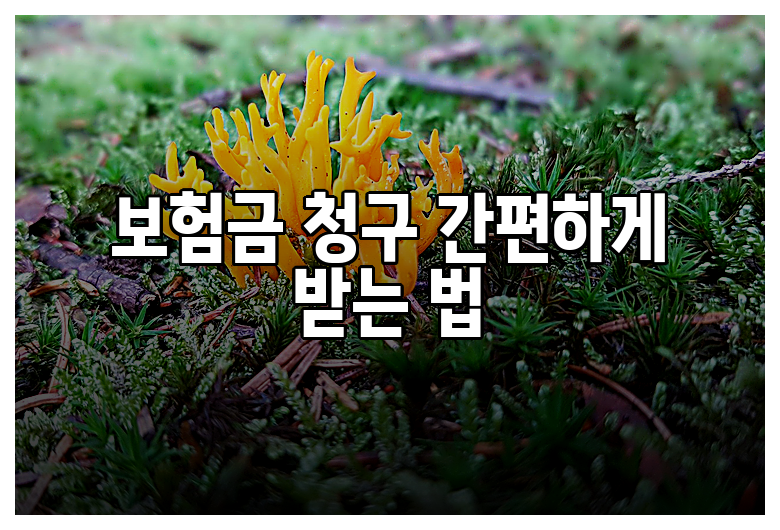 보험금 청구 간편하게 받는 법