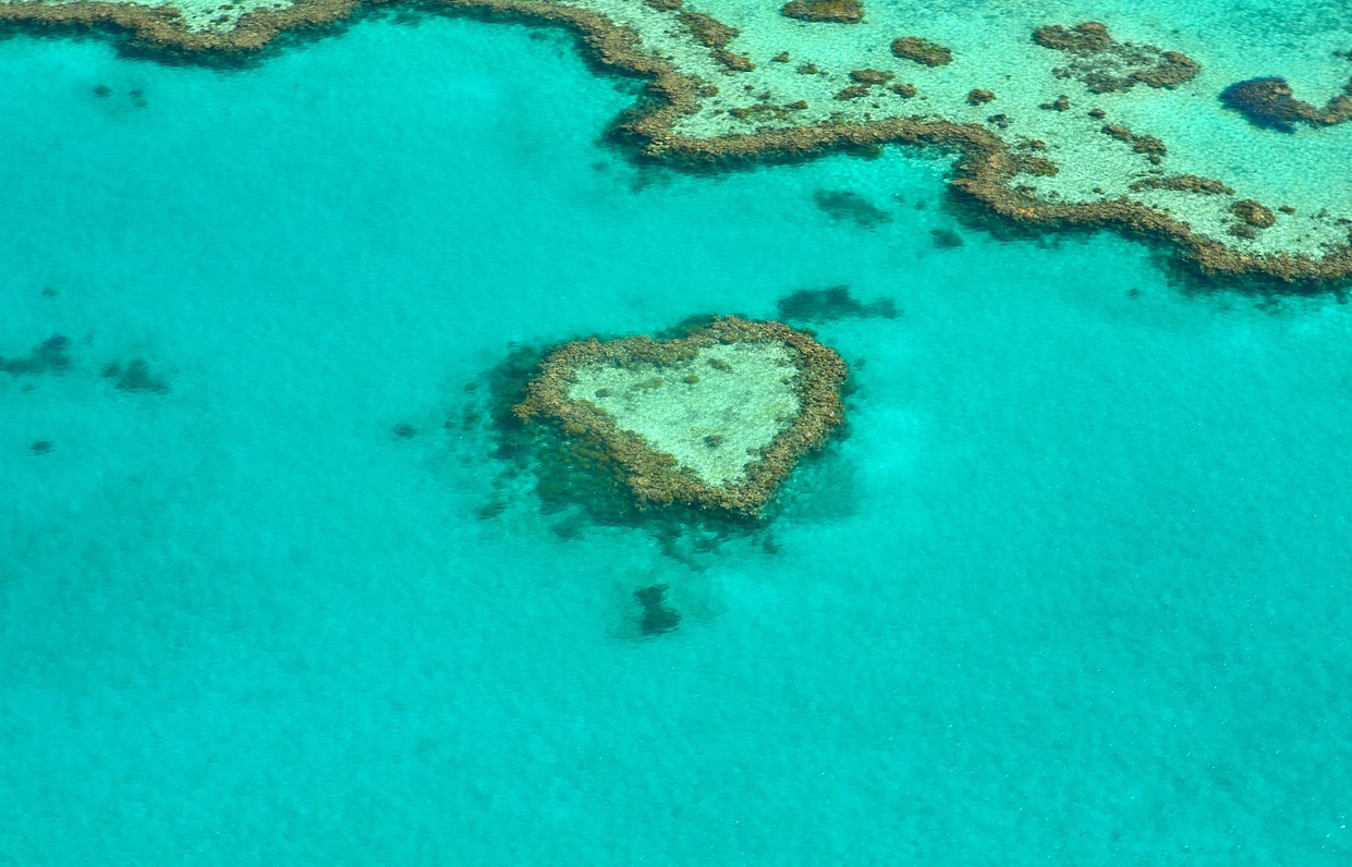 그레이트 배리어 리프 사진