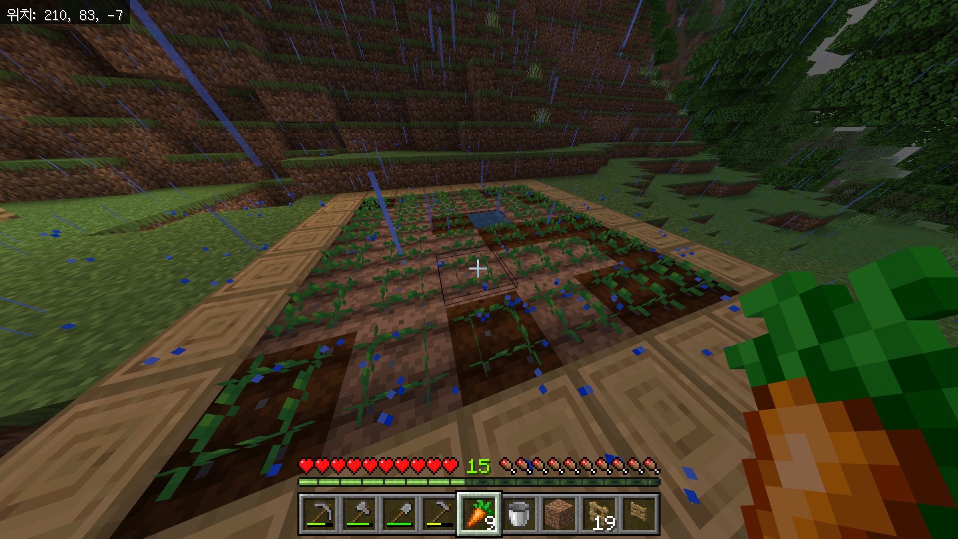 마인크래프트 당근 심는 방법, 당근 농장 만들기