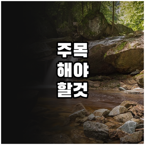 2025 문화적 감동 전달 찾아가는 ..