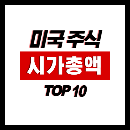 미국 증시 시가총액 순위 TOP 10 및 기업 분석 (2025년 5월 기준)
