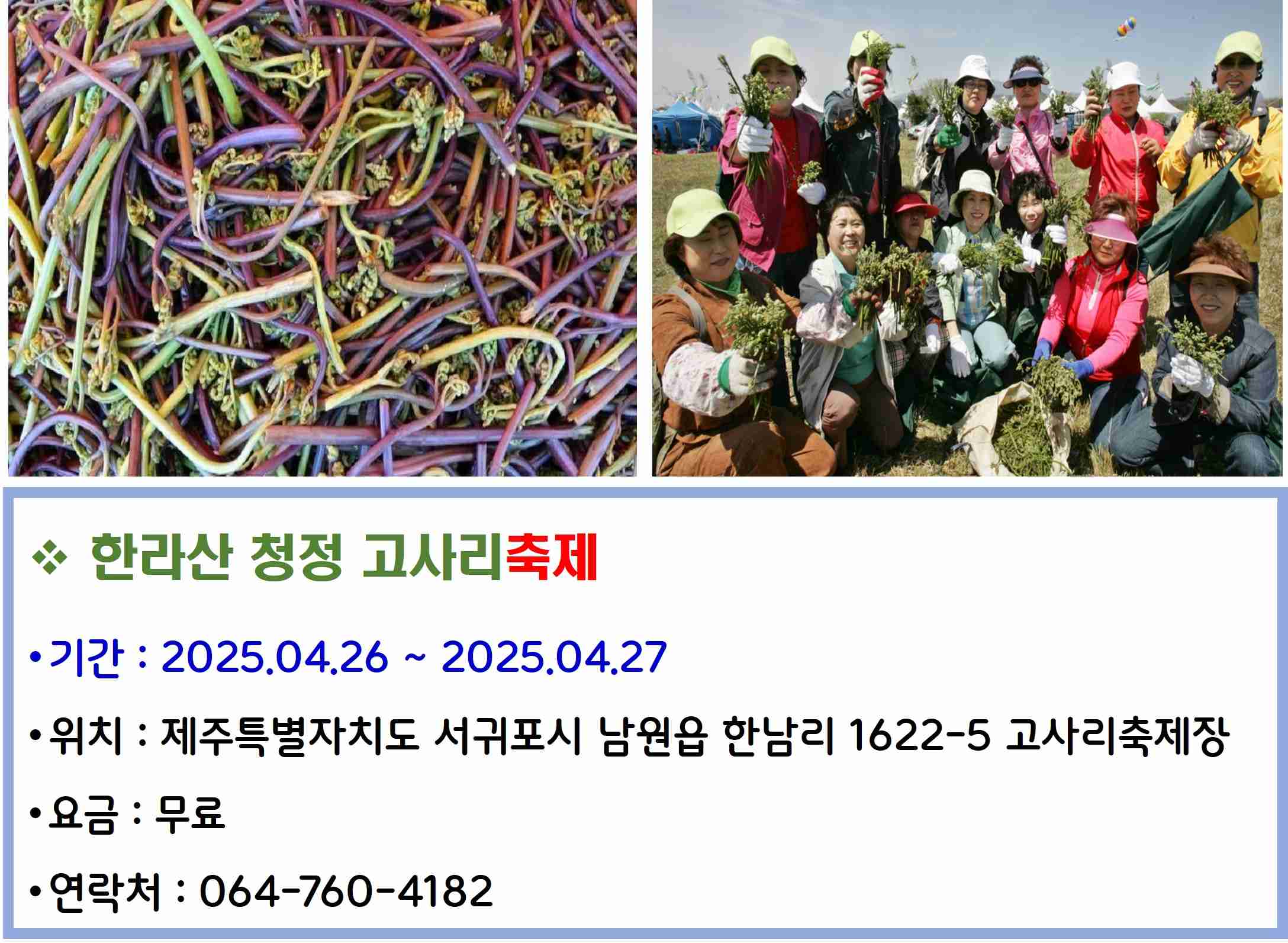한라산 청정 고사리축제