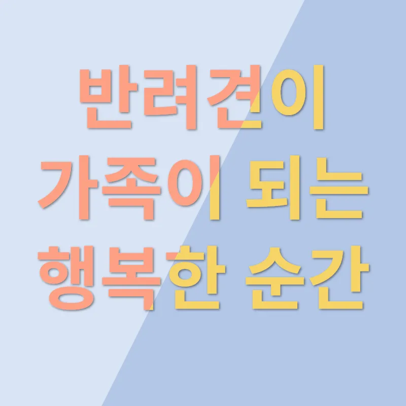 강아지 분양_3