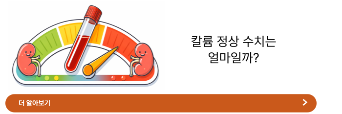 칼륨 수치가 높으면 나타나는 증상