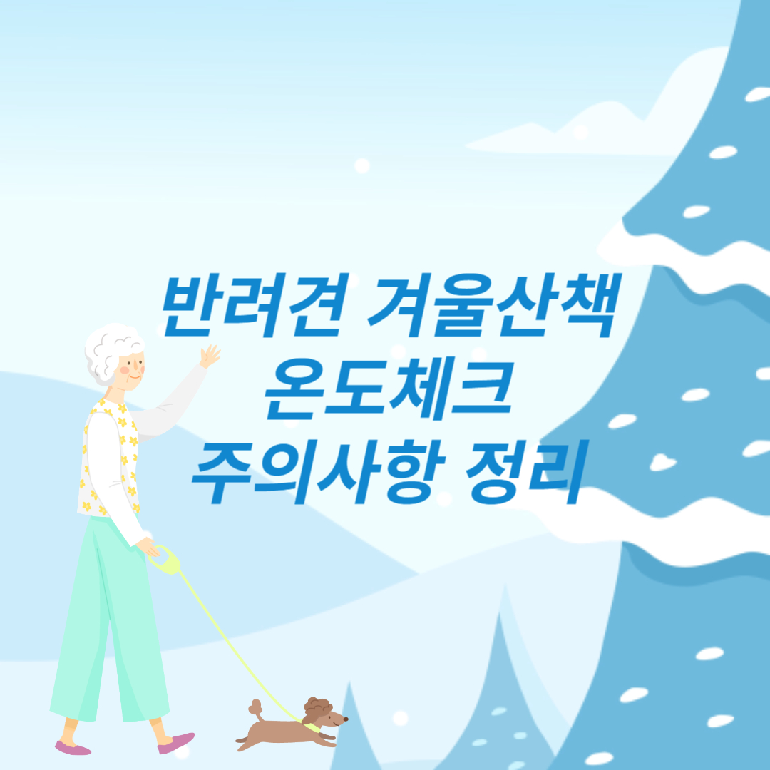 반려견 겨울산책