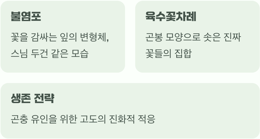 숲속의 코브라&amp;#44; 그 정체는?
