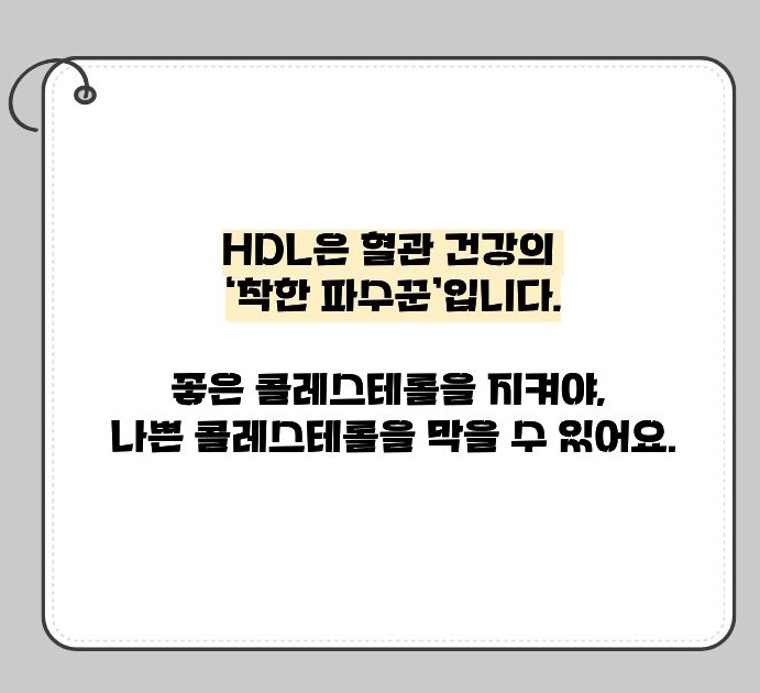 hdl 콜레스테롤 이란 