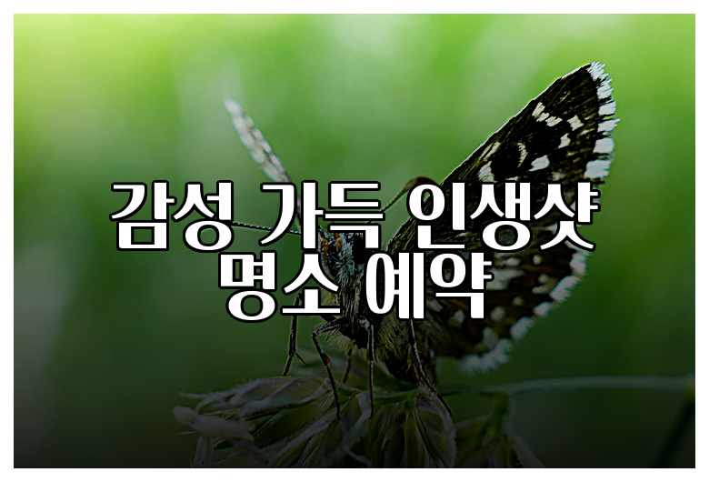 감성 가득 인생샷 명소 예약