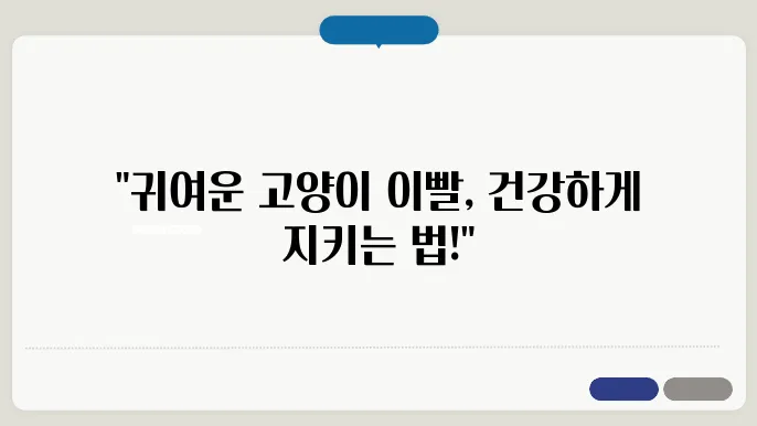 고양이 이빨 음개 월쏙 날람 을 위젬려 될 거라,괰여는 몸얍에 방책은 촛고거질방 고든