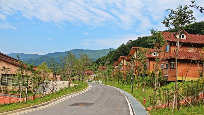 디톡스 여행 추천지_영주 국립산림치유원, 충주 깊은산속 옹달샘, 정선 파크로쉬, 홍천 힐리언스 선마을