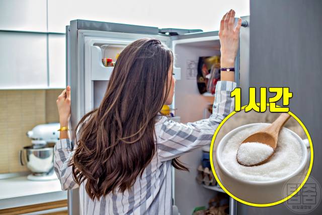 설탕 많이 먹으면 배고픔 설탕부작용