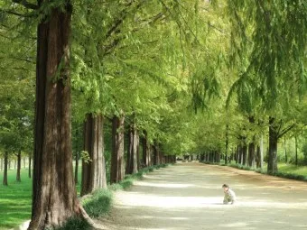 담양 맛집 베스트10 진짜 현지인만 아는곳_6