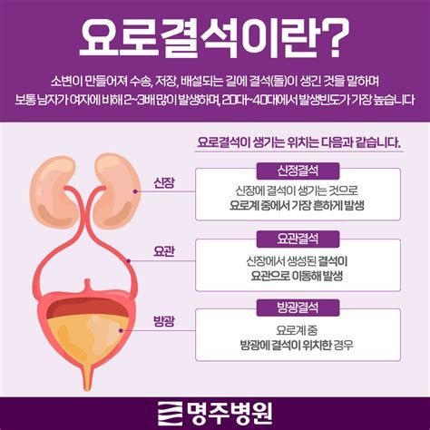 요로 결석 보험