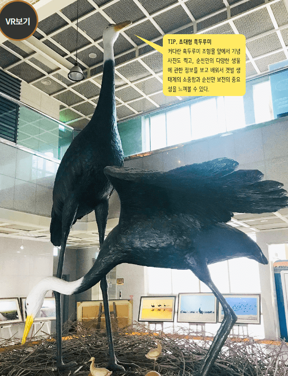 가을여행지 순천만습지