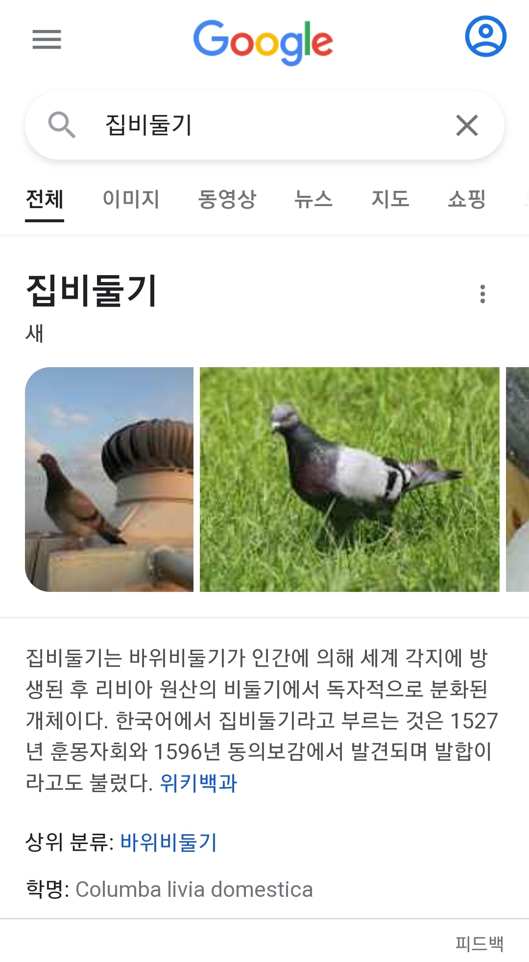새 사진 검색 결과