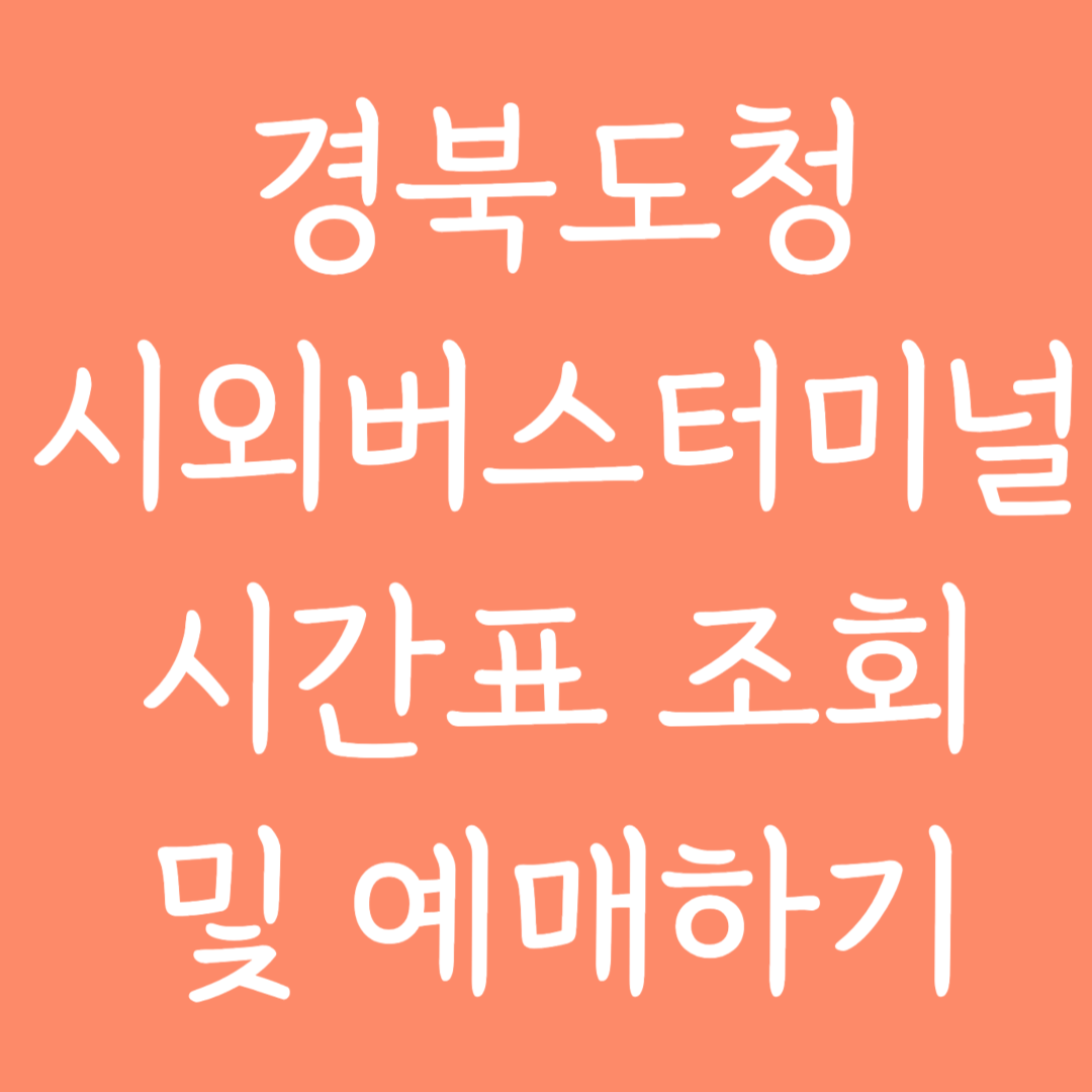 경북도청 시외버스터미널 시간표 조회 및 예매하기