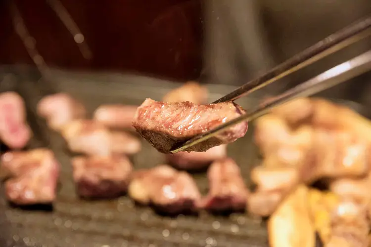 네모세모 대구 동성로 맛집 레인보우 삼겹살, 통후추 삼겹살, 허브 냉꽃삼겹살 맛있는 식당