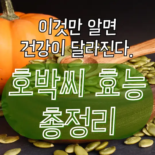 호박씨 효능