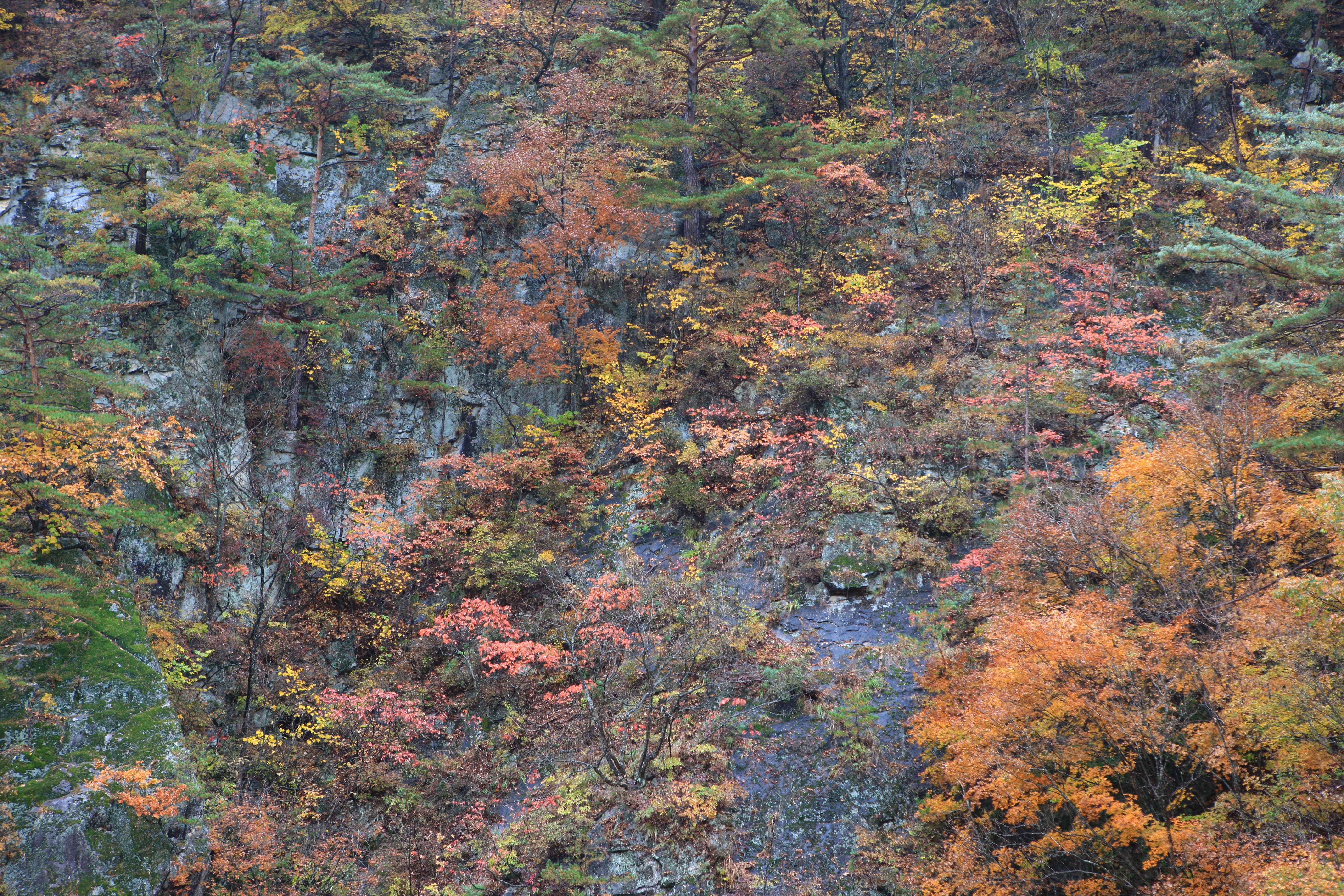 케이블카에서 보는 가을 옷을 입는 설악
