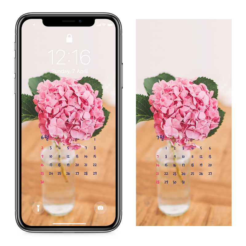 12 분홍수국 AB - 2024년6월 아이폰달력배경화면