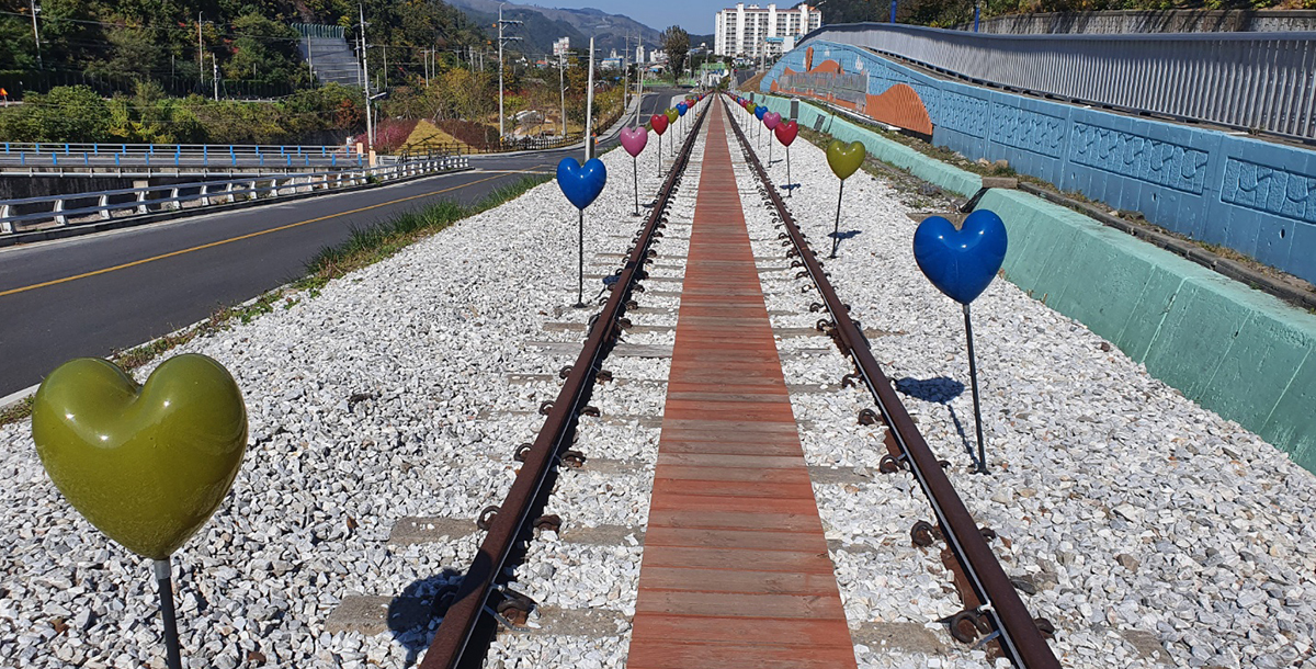 하이원 추추파크 스위치백 트레인